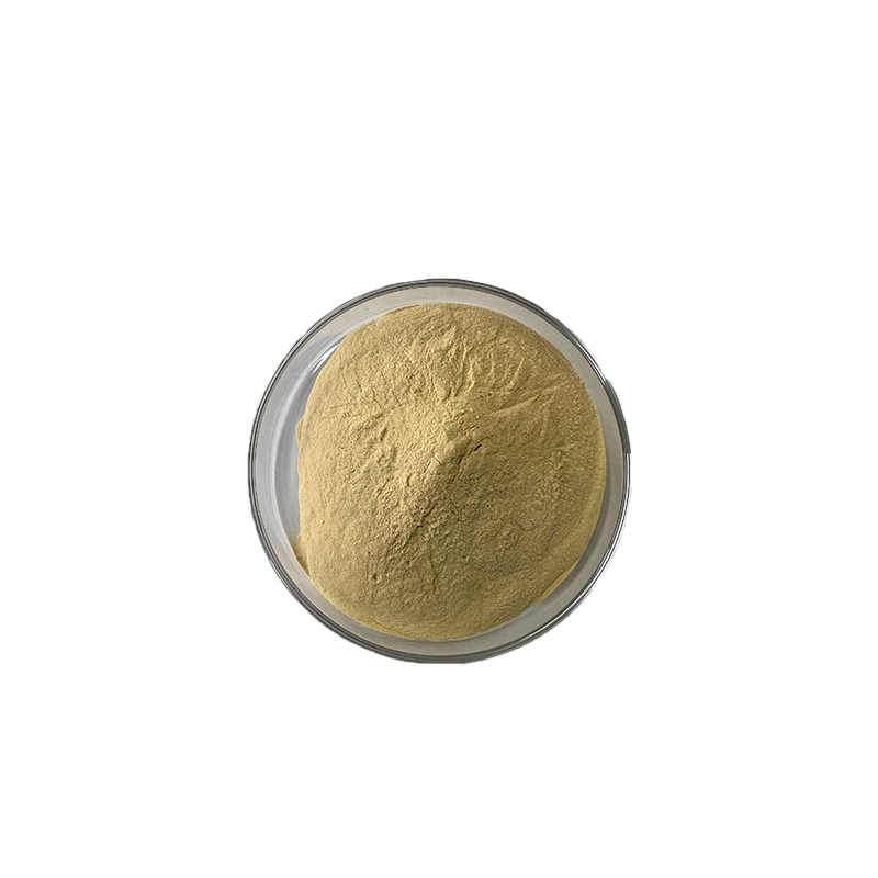 精准调控的艺术：远联化工耐碱型石膏缓凝剂开启建材智造新时代