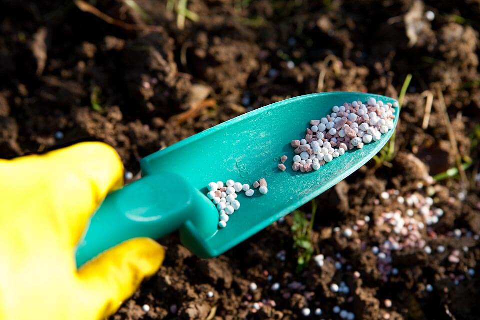 肥料增效剂分类详解：深度解析螯合剂如何让肥效翻倍？