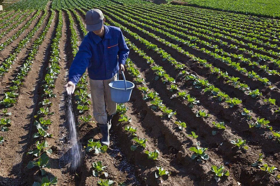 深度解析：螯合剂在农业领域的应用价值与作物提质增效策略