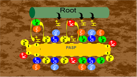 远联化工聚天冬氨酸肥料增效的原理示意图