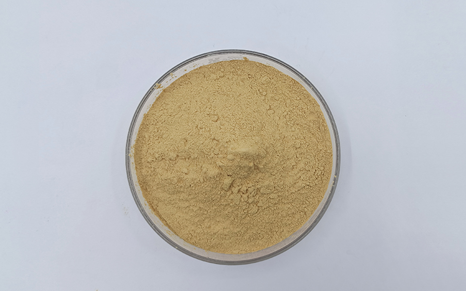 装饰石膏与GRG制品用氨基酸类石膏缓凝剂